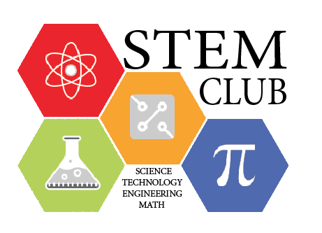 stem club stem club